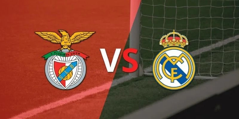 Soi kèo Benfica vs Real Madrid, 3h ngày 29/01 - Cúp C1 5 Soi kèo Benfica vs Real Madrid, 3h ngày 29/01 – Cúp C1